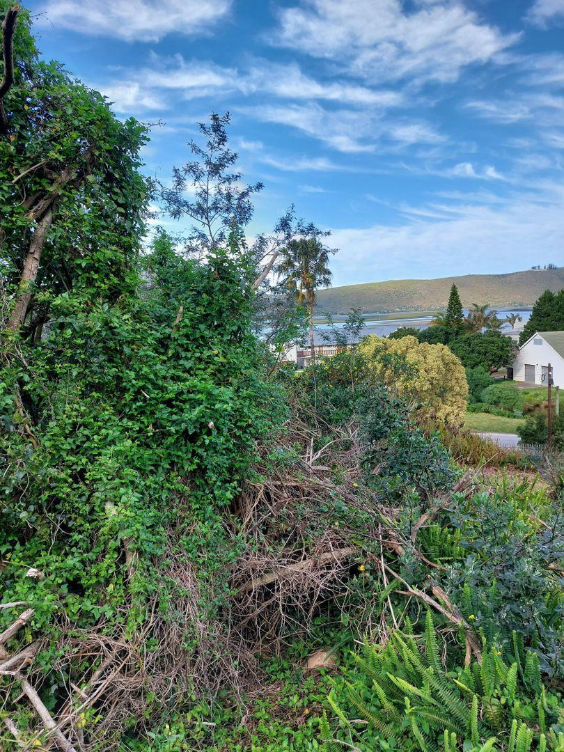 0 Bedroom Property for Sale in Paradise Western Cape